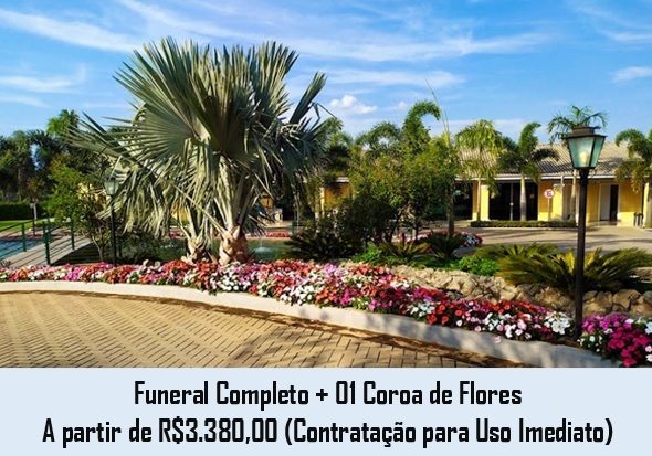 imagem1