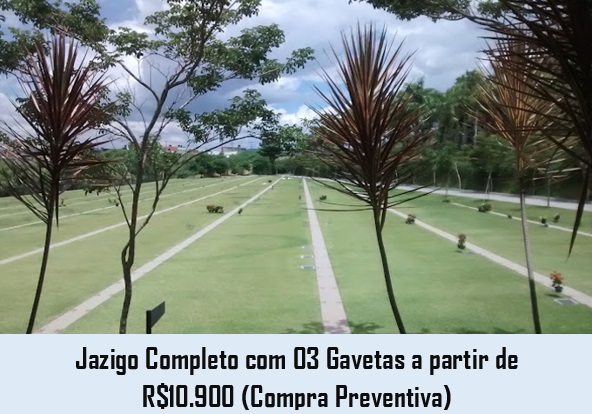 imagem3