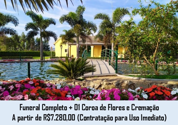 imagem4